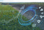 Due diligence: o que é e como aplicar no contexto ambiental?