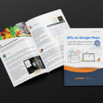 guia-apis-2025-material-rico-v2