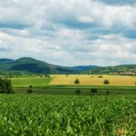 Paisagem agrícola com diferentes talhões de cultivo e montanhas ao fundo, ilustrando a diversidade de áreas monitoradas para análise de risco em operações de Crédito Rural.