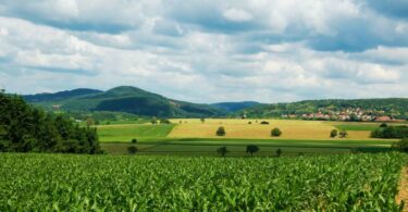 Paisagem agrícola com diferentes talhões de cultivo e montanhas ao fundo, ilustrando a diversidade de áreas monitoradas para análise de risco em operações de Crédito Rural.