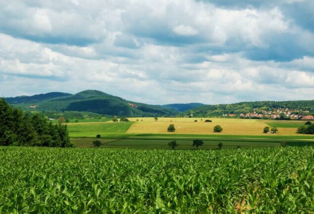 Paisagem agrícola com diferentes talhões de cultivo e montanhas ao fundo, ilustrando a diversidade de áreas monitoradas para análise de risco em operações de Crédito Rural.