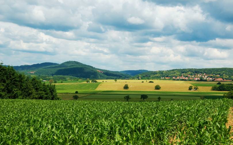 Paisagem agrícola com diferentes talhões de cultivo e montanhas ao fundo, ilustrando a diversidade de áreas monitoradas para análise de risco em operações de Crédito Rural.