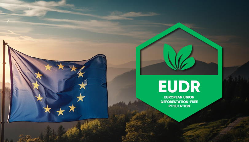 Novo Regulamento para Produtos Livres de Desmatamento da União Europeia - EUDR